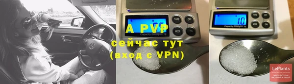 соль ск Кодинск