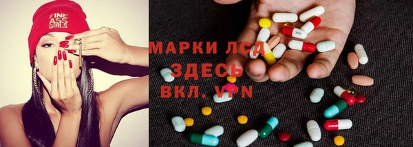 прущие грибы Новосибирск