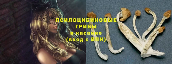 соль ск Кодинск