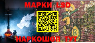 спиды Новозыбков