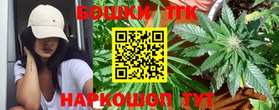 спиды Новозыбков