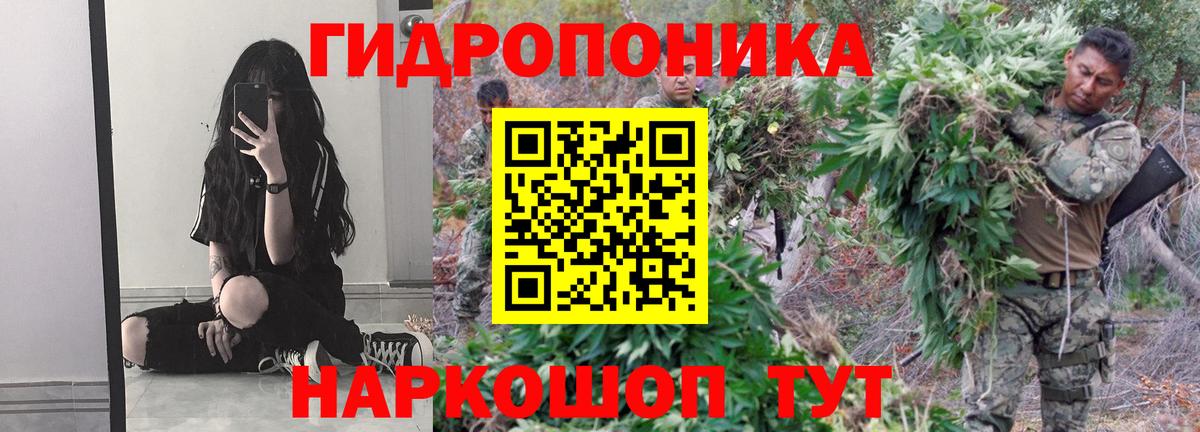 Советск  Бошки марихуана конопля  Каннабис планчик  Бошки марихуана Ganja  Вход с VPN  Шишки марихуана Bruce Banner 
